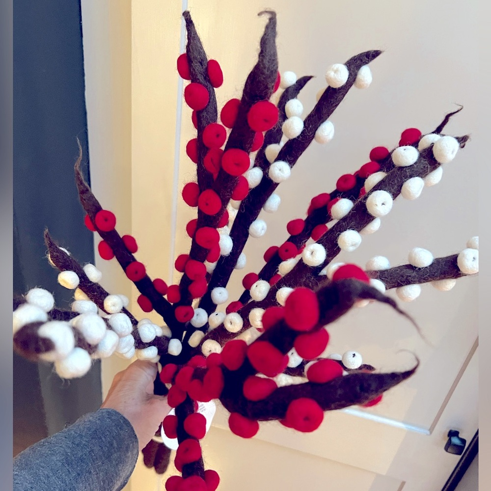 Trader Joe’s NWT Unbelievably Beautiful Red White Brown Wool Felted Ilex Berries - Picture 1 of 7